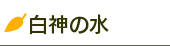 白神の水