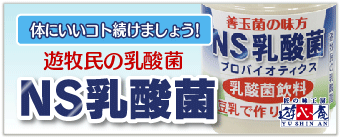 遊牧民の乳酸菌 NS乳酸菌