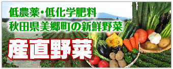 低農薬・低化学肥料 秋田県美郷町の新鮮野菜 産直野菜